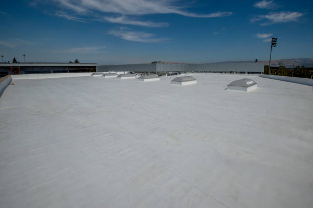 Fast & Reliable Emergency Roof Repairs in South Monroe, MI